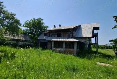 Vila P+1 550mp.utili si garaj cu teren 4500mp NOVACI la DN67C 19km de Ranca - 2