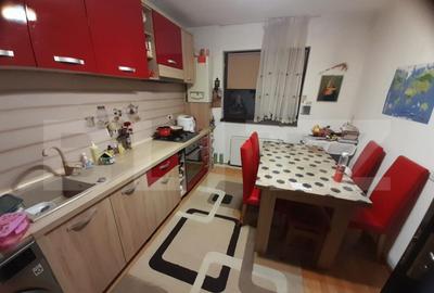 Apartament cu 2 camere semidecomandat, mobilat în Freidorf