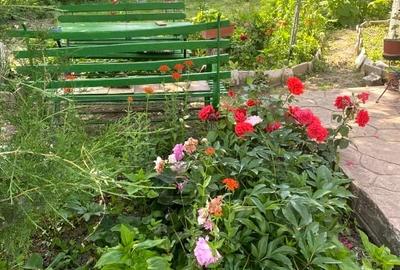 Casa traditionala de vanzare - ideala pentru familie mica sau retragerea la tara Casa traditionala de vanzare - ideala pentru familie mica sau retragerea la tara - 4