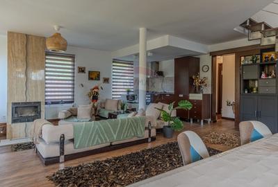 Casa de vacanta sau investitie turistica in Gresu - langa Lepsa - 3