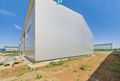 Spațiu industrial, de 440 mp, în Giarmata - 8