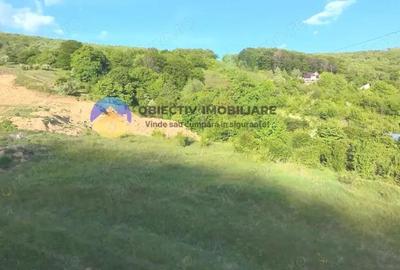 TEREN intravilan PIATRA NEAMT strada DRAGOS VODA (Valea Viei) TEREN intravilan PIATRA NEAMT strada DRAGOS VODA (Valea Viei) - 3