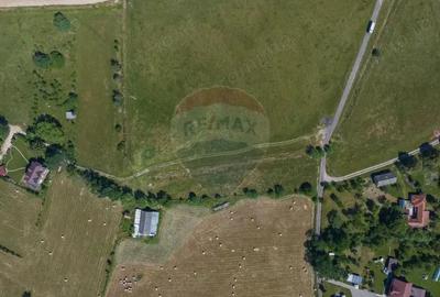 Teren Bran -Sohodol, Strada La mesteceni, 6900mp - 13