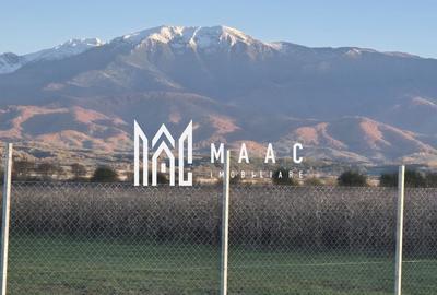 Teren | EXTRAVILAN | 500 MP | Bradu - 1