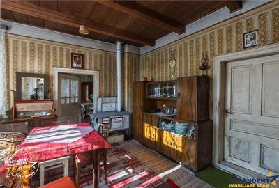 FILM! Casa si anexe, pe domeniu de 6.221mp, livada pomi fructiferi, Lemnia, Covasna - 17
