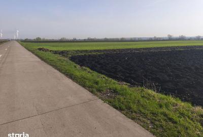 Teren de 9300 mp, în Satu Mare - 4