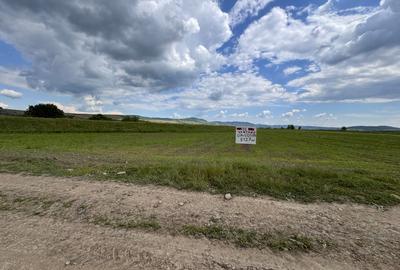 Teren agricol extravilan de 8127 mp, în Salatiu - 3