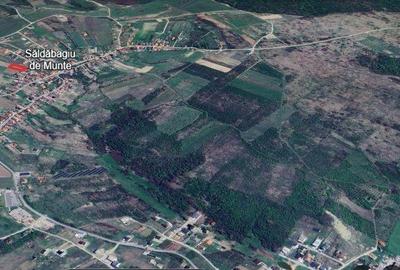 Teren de 1100 mp, în Paleu - 7