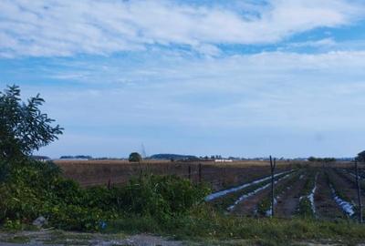 SUPER OCAZIE SE VINDE TEREN PARCELABIL 2000MP IN ZONA 1 DECEMBRIE IF 28 EURO/MP - 1