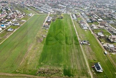 Teren de 300 mp, în Berceni - 4