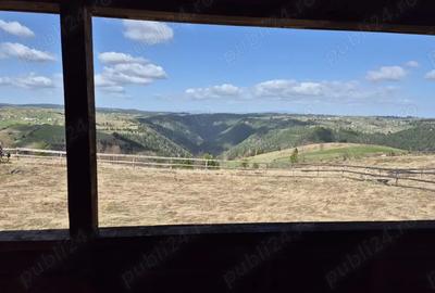 Cabana Maguri Racatau, 39000 eur - 1