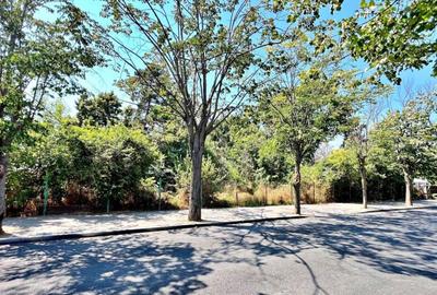 EFORIE NORD - TEREN INTRAVILAN - 8959 MP - Comision 0% - 3