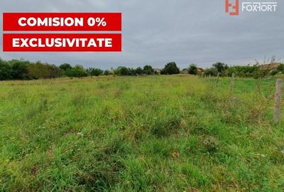 Teren Construcții intravilan de 2978 mp, în Sânmihaiu German - 1