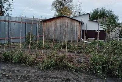 Casă cu 2 camere cu Teren 2636 Mp în Tudor Vladimirescu - 6