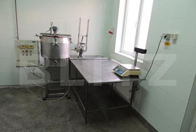 Cladire de vanzare (fosta fabrica de lactate) - 7