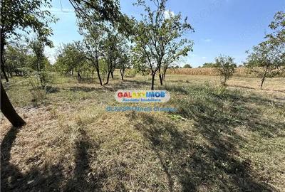 Vanzare teren intravilan Baicoi Central Vanzare teren intravilan Baicoi Central - 6