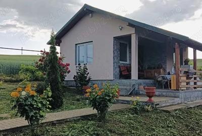 Casă cu 2 camere cu Teren 1751 Mp în Central - 7