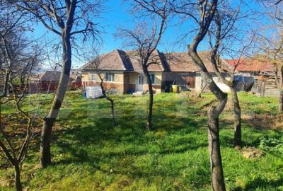 Casă cu 2 camere cu Teren 2589 Mp în Rediu - 4
