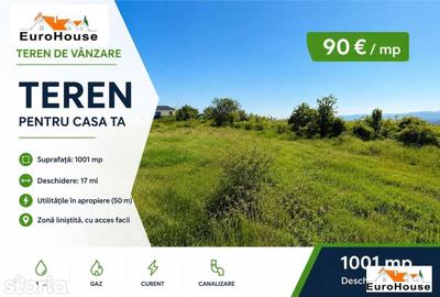 Teren de 1001 mp, în Cetate