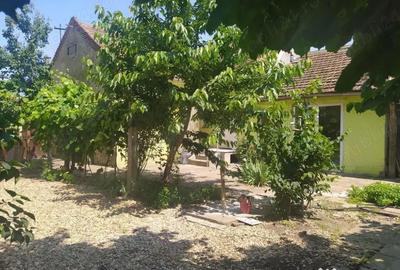 Casă cu 3 camere în Grădiște - 9