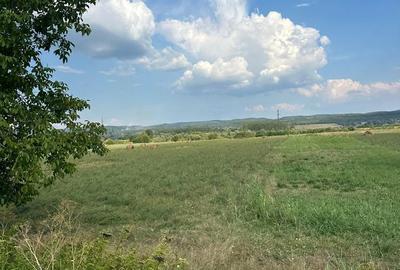 Teren de 20954 mp, în Mihăești - 1