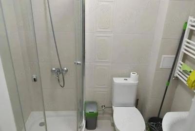 Inchiriere garsoniera in zona 1 Decembrie 1918 - 1