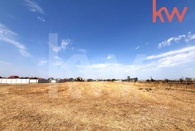 Teren de vanzare – liniste, spatiu si libertate, Zona Rovine 2 - 1