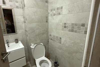 Închiriere garsonieră Exigent Plaza/ Lujerului - 8
