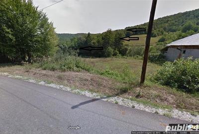 Teren de 9309.7 mp, în Ciuperceni - 1