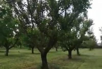 Casă în Căscioarele - 1