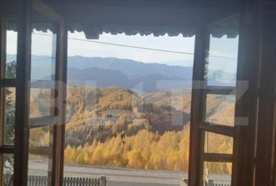 Casă cu 5 camere cu Teren 1789 Mp în Central - 9