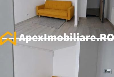 Apartament cu 2 camere, mobilat în Theodor Pallady