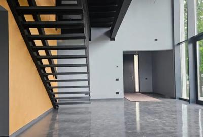 Casă cu 4 camere cu Teren 696 Mp în Buftea - 17