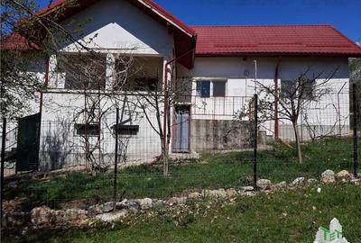 Vila cocheta de vanzare in Valcea, Bogdanesti (Tomsani) - 15