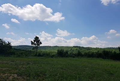 Teren de 6000 mp, în Curături - 2