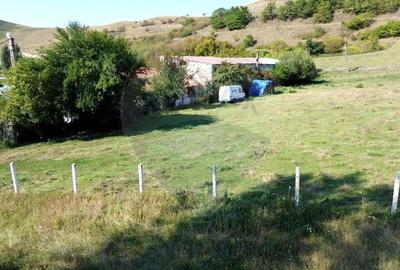 Teren de 4448 mp, în Târnava - 1