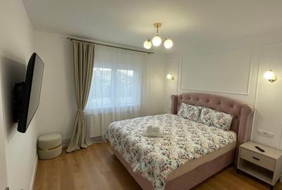 Apartament cu 3 camere decomandat în Terezian - 11