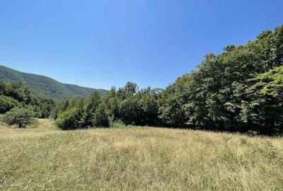 Teren Extravilan in mijlocul naturii. - 19