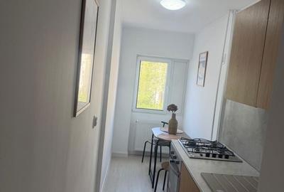 Garsonieră decomandată în Malu - 4