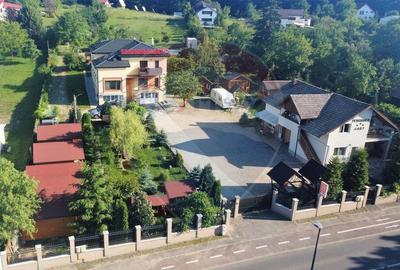 Spațiu comercial, de 750 mp, în Făget - 7