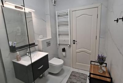 Apartament cu 2 camere decomandat, mobilat în Nord - 3