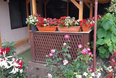 Casă în Perieni - 2