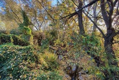 Spațiu comercial, în Domnești - 3