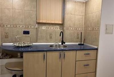 Superb apartament basement Kiseleff zona super - 5