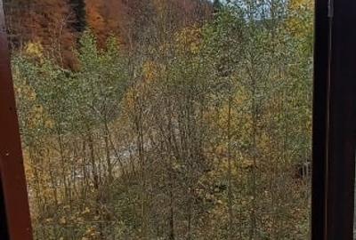 Apartament generos de 2 camere-Sinaia, zona Izvor - 14