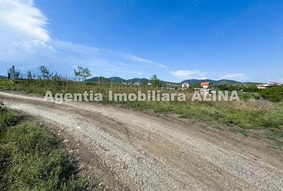 Teren de 1440 mp, în Titu Maiorescu - 3