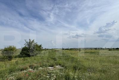 Teren de 3087 mp, în Ghercești - 4