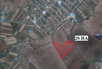Teren de 200000 mp, în Cermei - 1