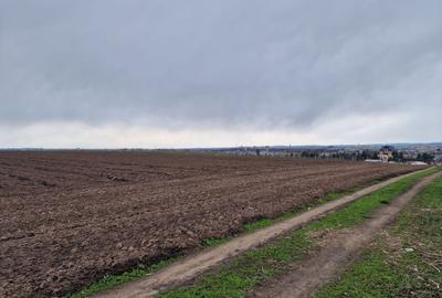 Teren agricol intravilan de 10000 mp, în Vest - 11