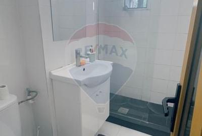 Apartament cu 2 camere semidecomandat, mobilat în Brazda lui Novac - 10